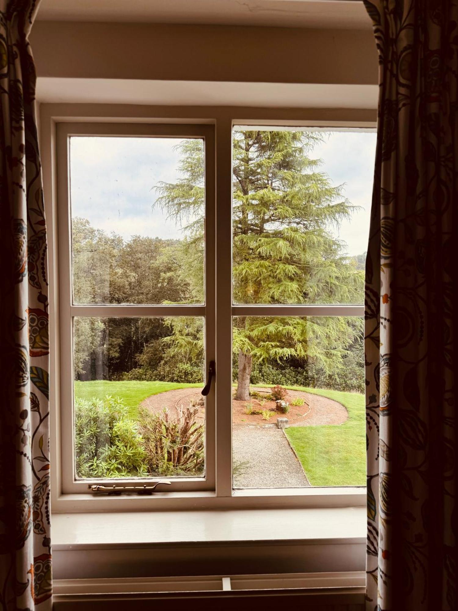 The Falcondale At Лампетер Стая снимка